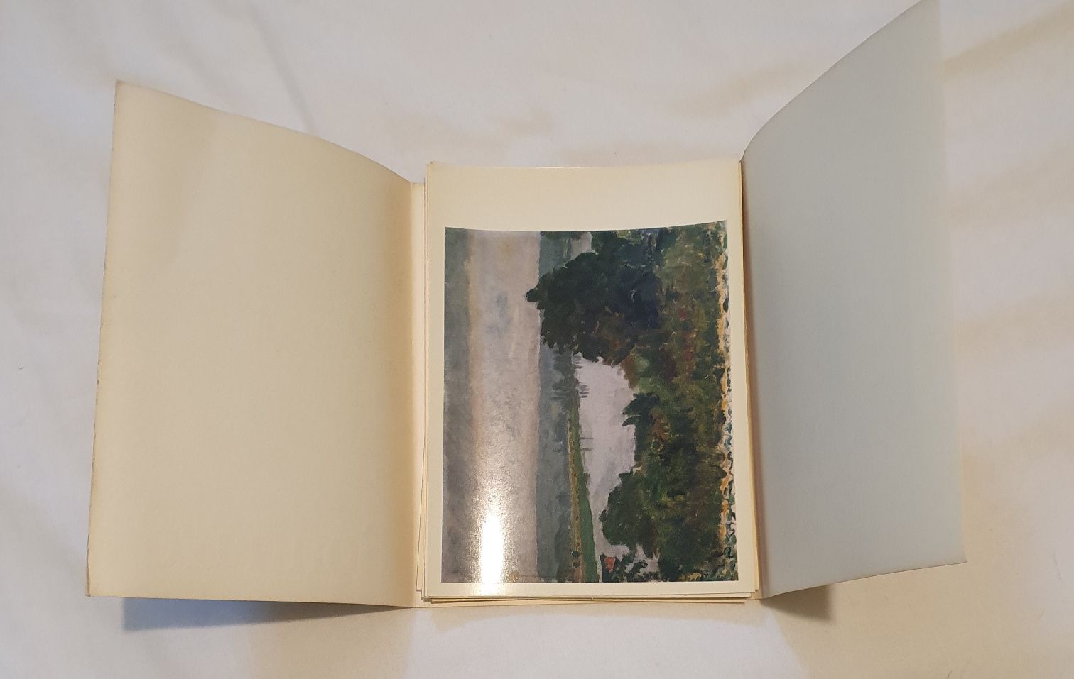 Album pierre Bonnard