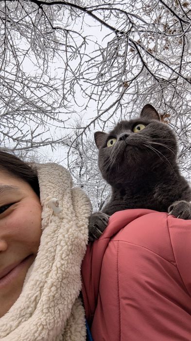 Умная Кошка с хорошими манерами
