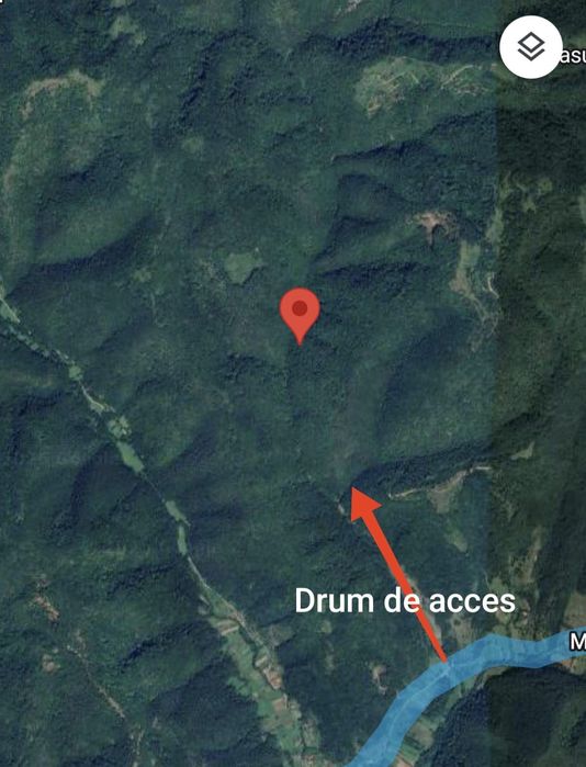 5,33 ha. de padure matura de vanzare