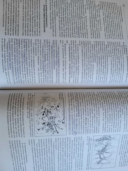 Учебник Патология - Обща патология