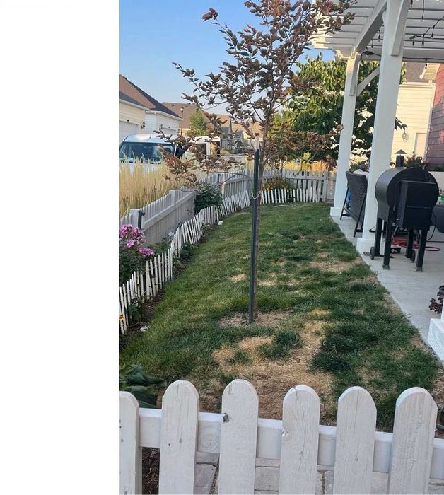 Amenajare Gradina cu Gazon Sintetic