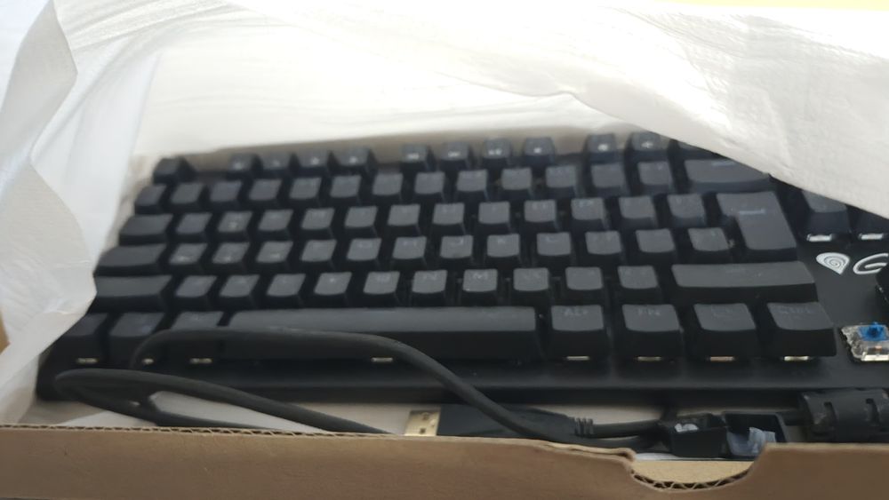 Genesis Thor 300 blue switches