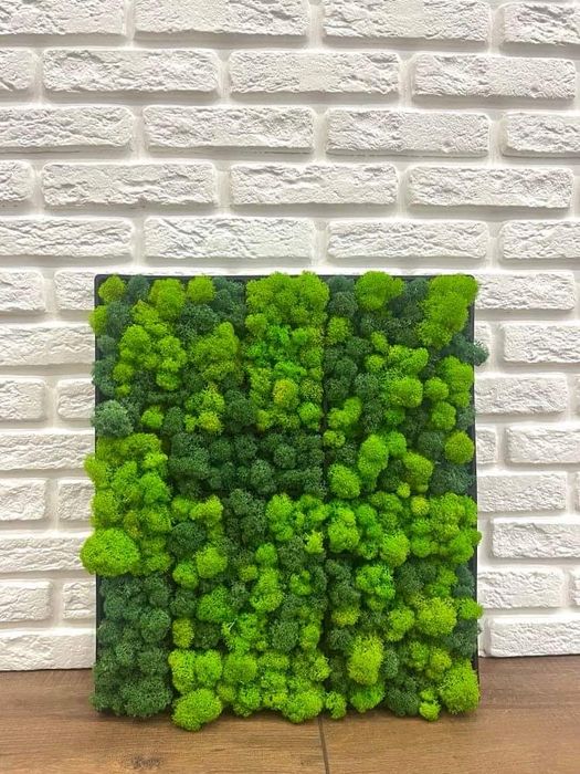 Пано с черна рамка и  скандинавски мъх