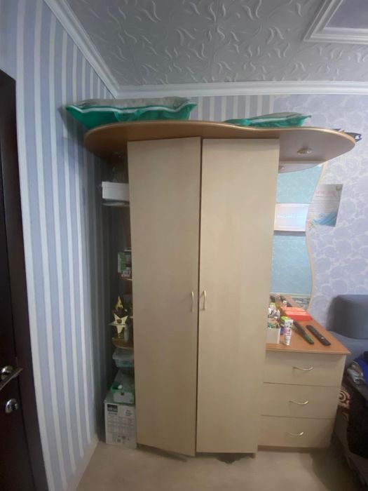 Шкаф платильный можно и в прихожую