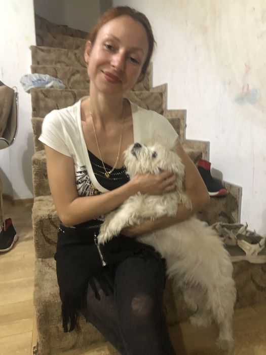 Cazare caini pet sitter