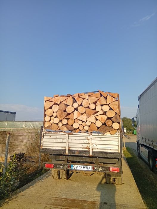 Aducem lemne de foc la domiciliu stejar fag