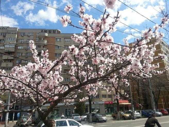 Garsoniera decomandata Tineretului Proprietar, bloc mixt