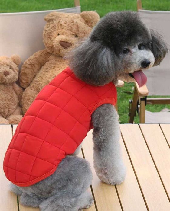 S/M дрешки за малко кученце, яке за куче, нагръдник с каишка