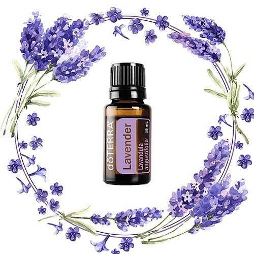 Lavandă Lavender doTerra - ulei esential