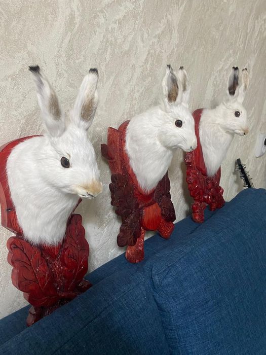 Чучело зайца, реалистичное, ручная работа