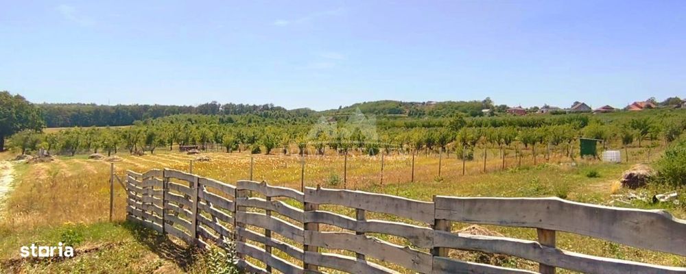 Teren intravilan de vanzare – Paleu, judetul Bihor