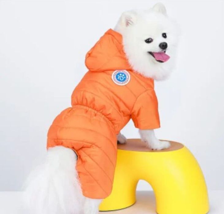 Куртка пуховик кошка собака щенок котёнок одежда