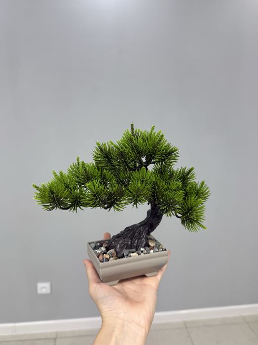 Декор “Бонсай” Мини-растение для интерьера