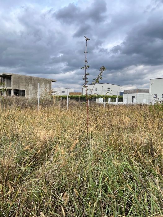 Teren pentru construcții în Cristian cu proiect existent