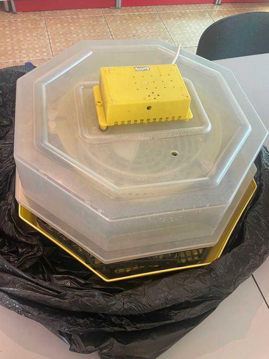 Clocitoare Oua - 42 BUC