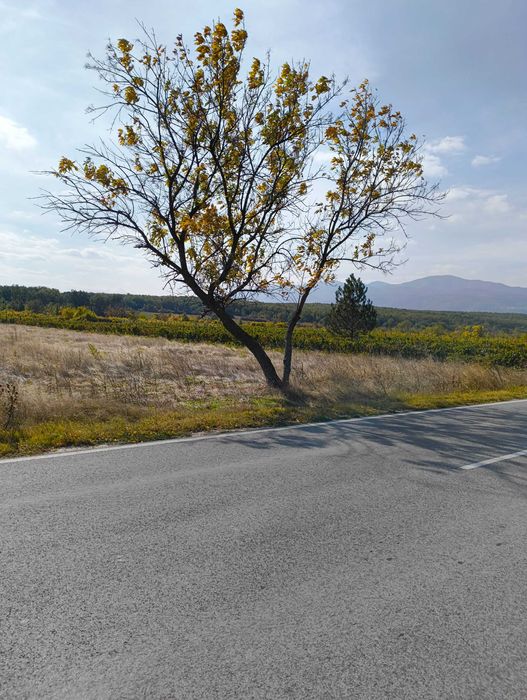 Парцел в с.Козаново