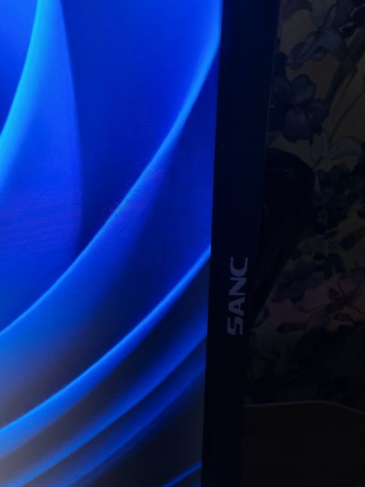 Монитор SANC M2433PA