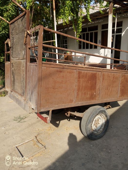 Pirsep baquvvat mol topshirgani tayor