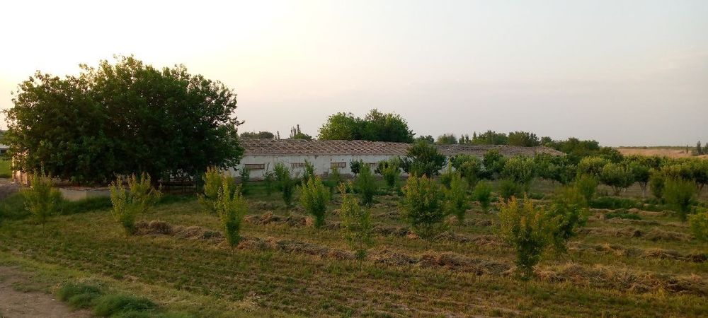 Ferma chorvachilik uchun eng arzon narxda shoshiling