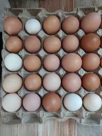 Продаются домашние яйца .80т 1 шт.перепелинные яйца 1шт 50т.