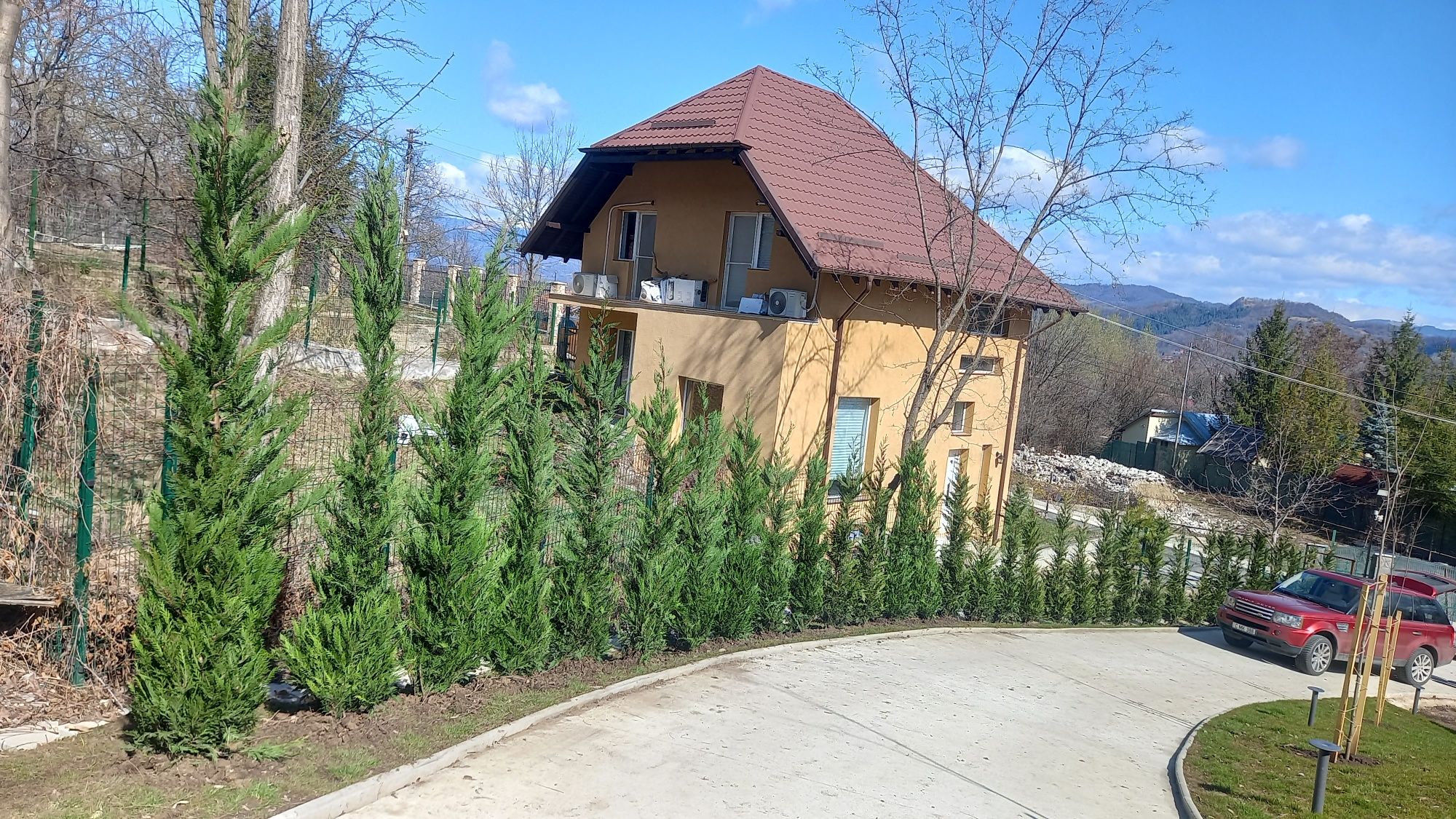 Gazon rulou plante ornamentale grătare tradiționale Piatra naturala