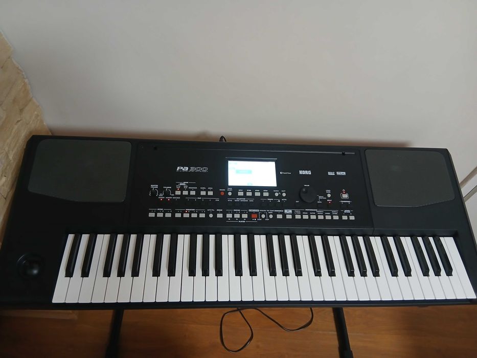 Синтезатор Korg PA 300