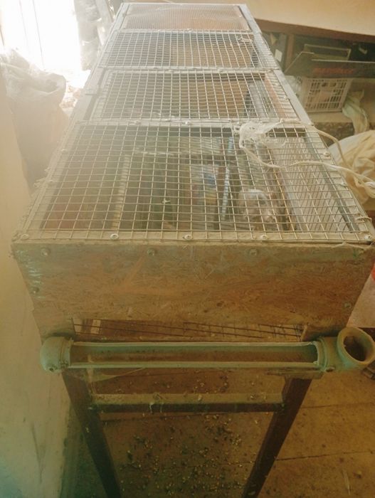 Бөдененің ұясы сатылады