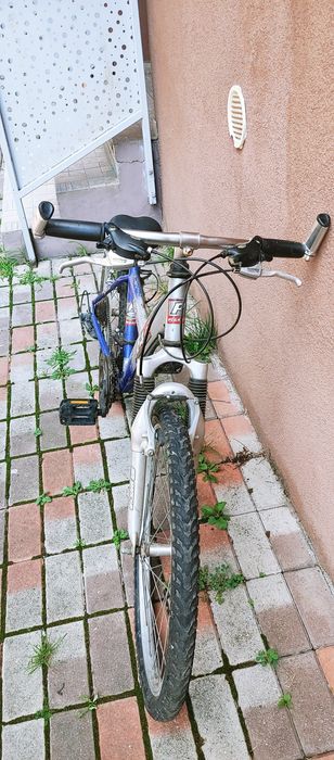 Bicicleta. Pegasus