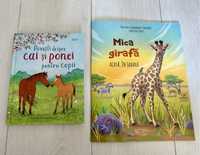 Povești despre cai și ponei (Usborne), Mica girafă: Acasă, în savană