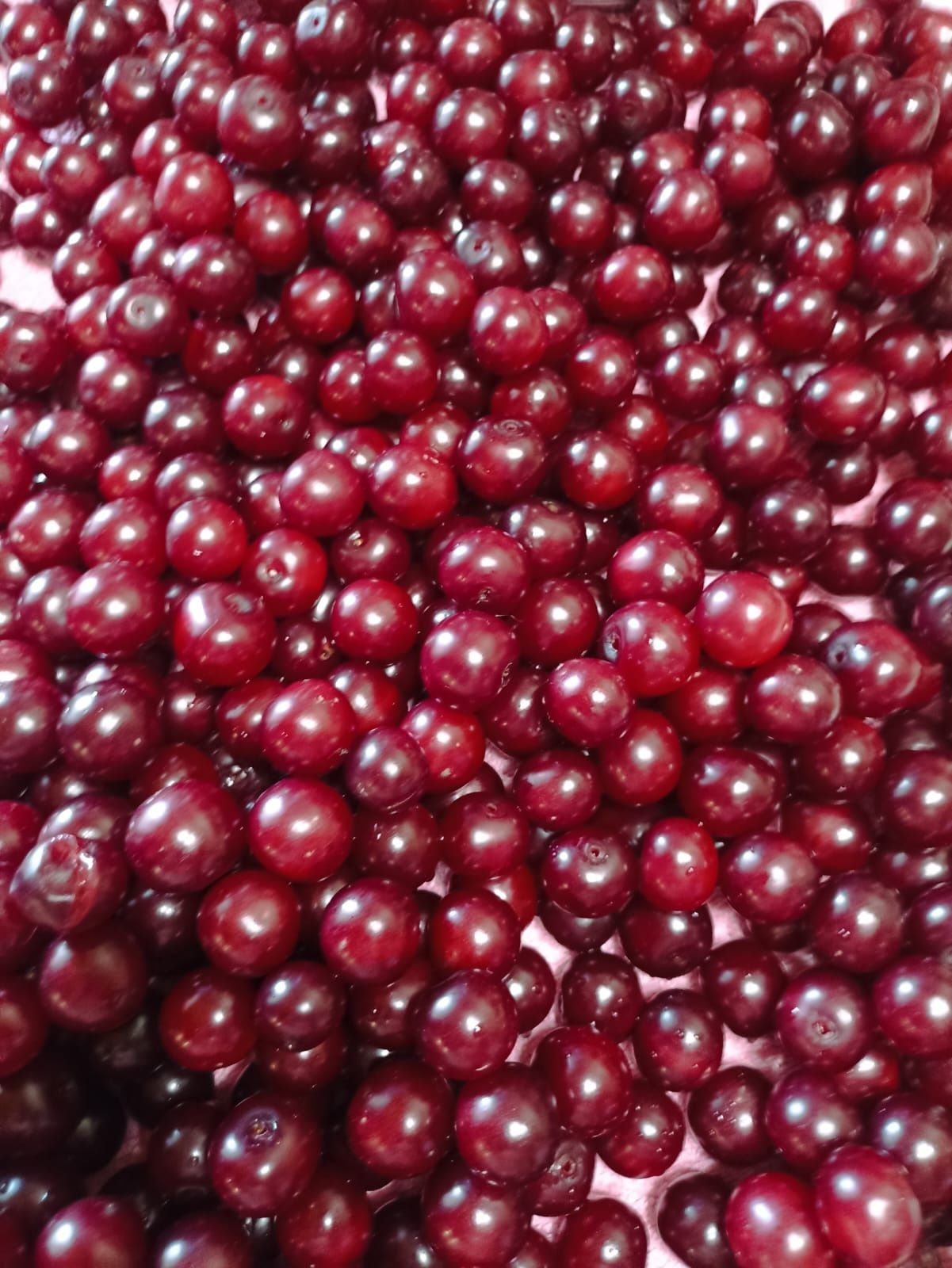 Продам спелую вишню