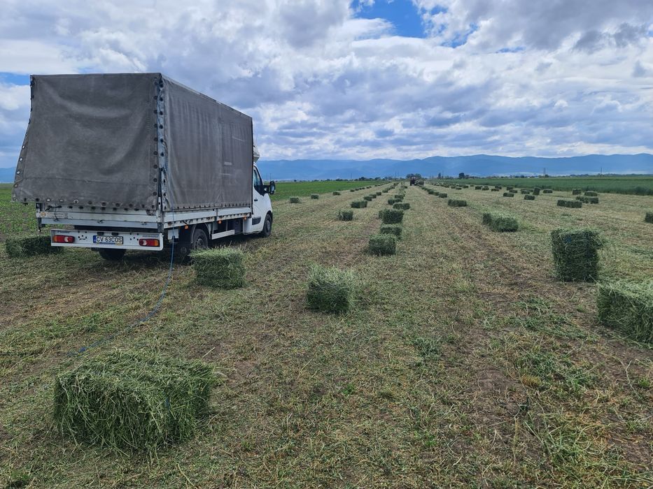Vând baloti  Lucernă fân de munte trasport la domiciliu producție 2024