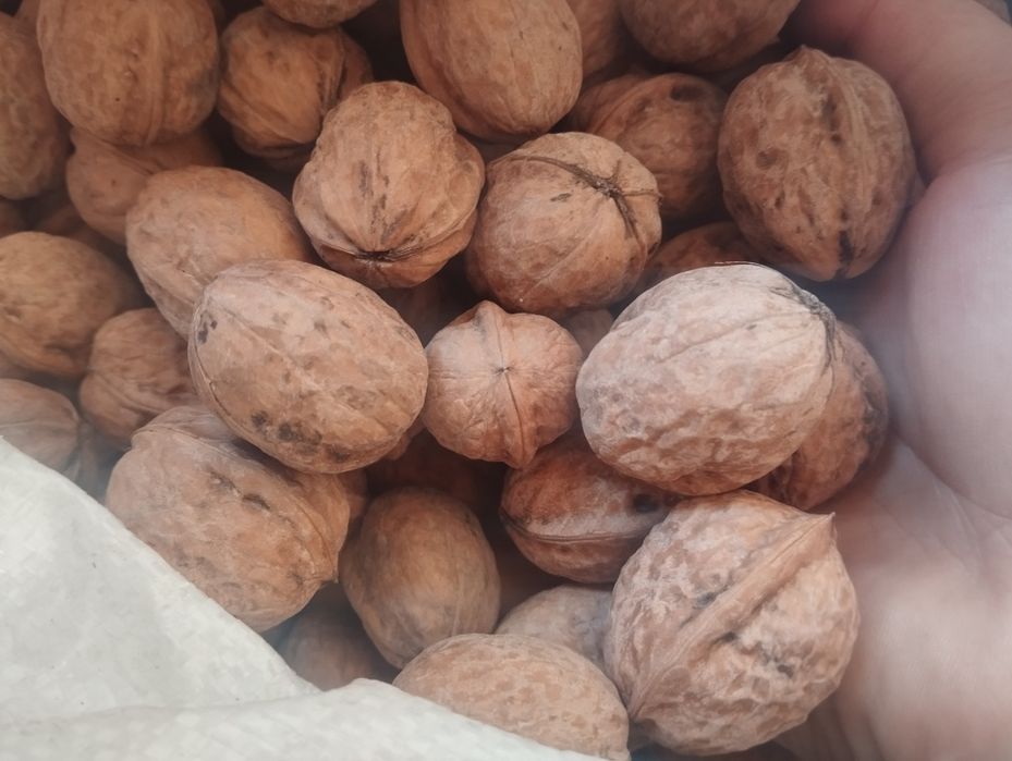 Срочно продам орехи ,деньги нужный,вкус отличный