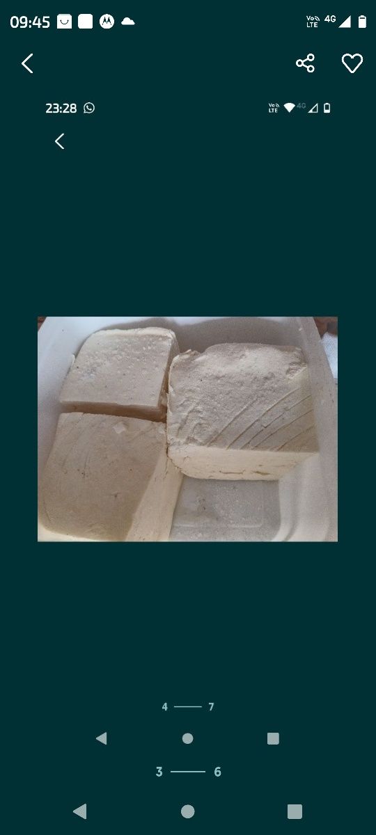 Lapte si branza de capra