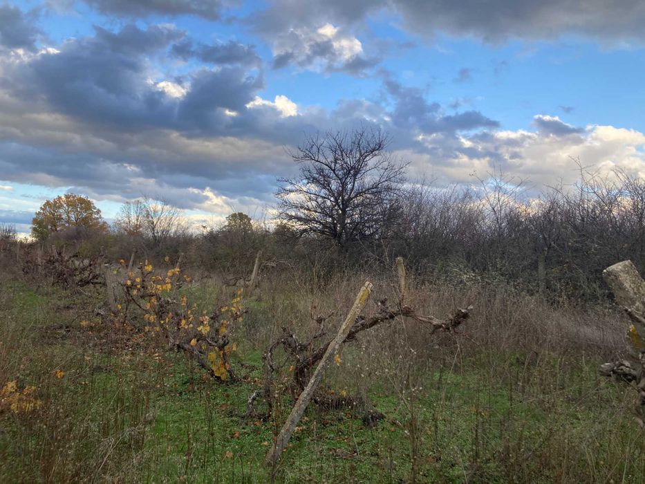 Продава се Парцел в Първомай - 2320 кв.м за 3 €/кв.м - Снимка #5