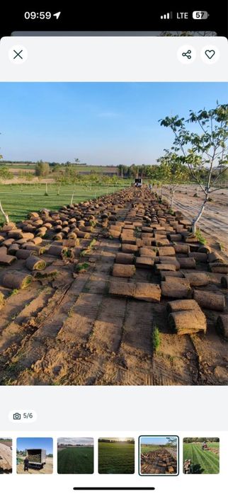 Gazontoʻgʻri daladan Bir kunda