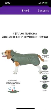Одежда зимняя для собак крупных и средних пород