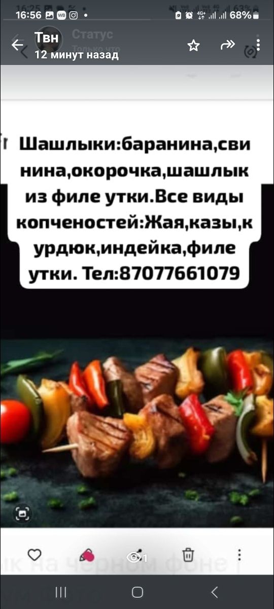 Шашлык все виды от Шеф повара .Баранина .Окарачка.Утка филе.Стеик .
