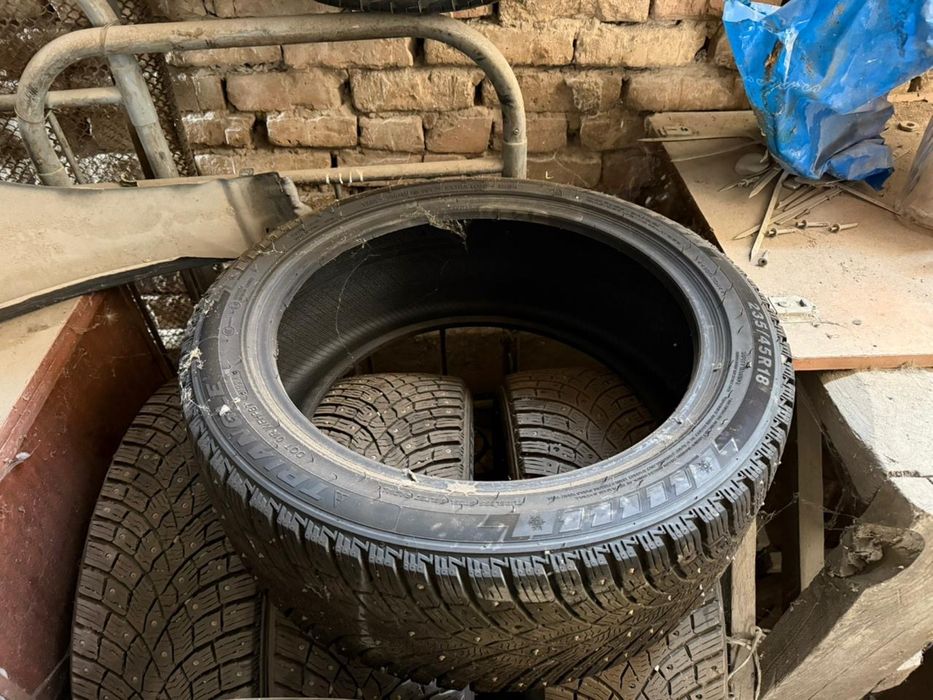 Шипованные шины трианжл