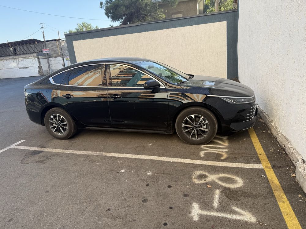 BYD Chazor 1 poz 55km