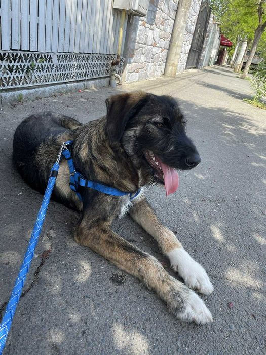 Ady – un băiețel iubitor