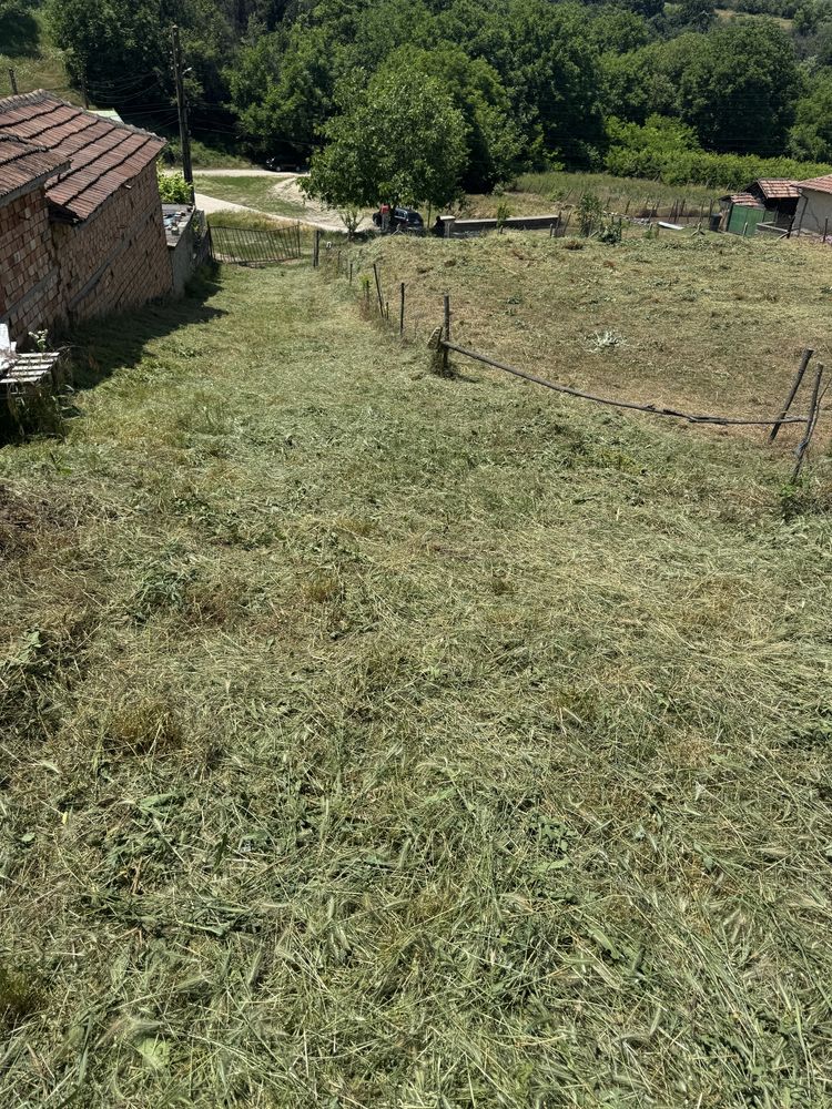 Почистване,косене,кастрене и рязане на дървета.