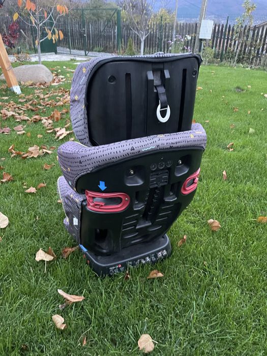 Столчета за кола Lorelli и Chipolino