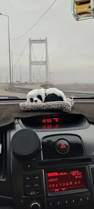 игрушка на панель авто и для дома