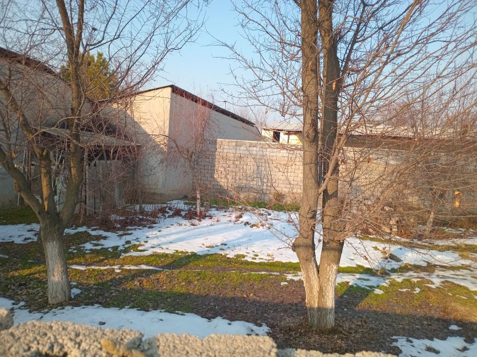 2 sotok pustoy ucastka arendaga beriladi