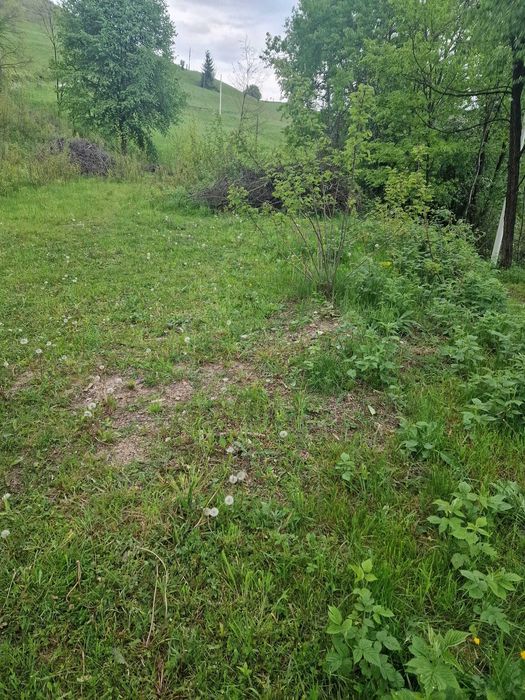 Vând teren intravilan in orașul  Câmpeni, județul ALBA