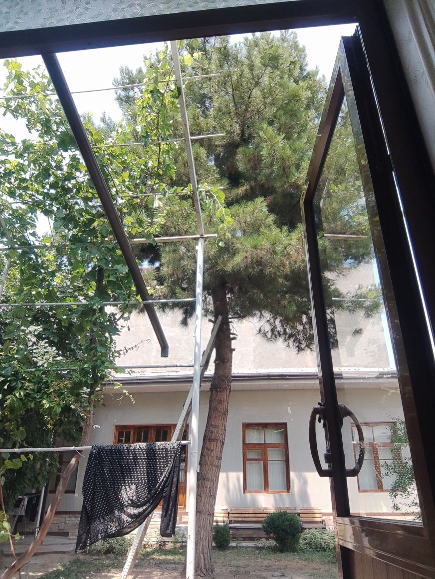 Archa sasna kesib opkettish keere keremas tegi bilan Toshkent shahar.
