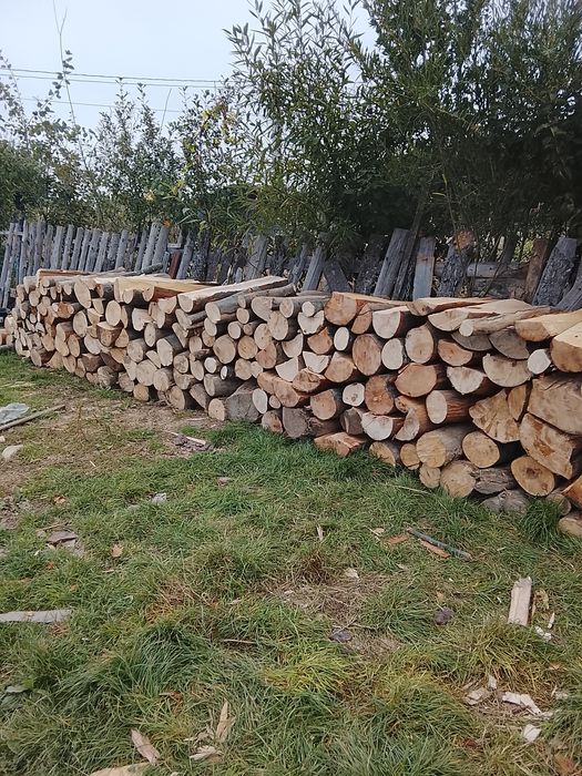 Vând lemne bune de fag transport