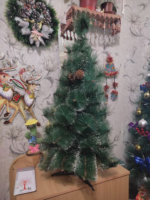 Ёлочка арча пушистая