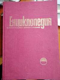 Енциклопедия на изобразителните изкуства в България, Том 1