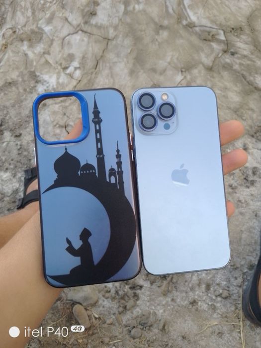 iPhone 13 Pro Max 256/100%